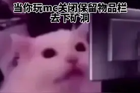 当你玩mc关闭保留物品栏去下矿洞