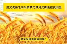 梦见光脚走在麦田里视频封面