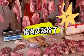 最近猪肉一天一个价，实拍成都人气菜市场猪肉价格，看完别吃惊！视频封面