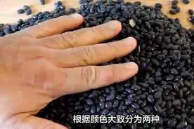 买黑豆时，“绿心”与“黄心”有啥区别？哪种更好？看完不纠结了视频封面