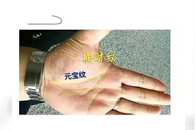 此种手相纹理清晰，事业线通达，必定是能够做大事的男人。