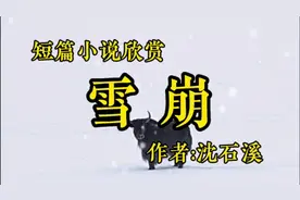 短篇小说欣赏《雪崩》作者，沈石溪