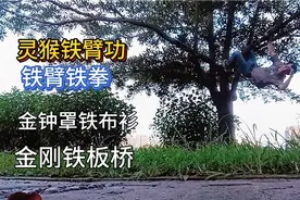 传武真功夫《灵猴活臂铁拳》《铁肚功铁布衫》快拳修炼功夫高手