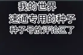 我的世界速通专用的种子种子号放评论区了