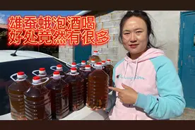 雄蚕蛾泡酒喝，还有好多人不知道？看看如何泡制的