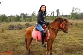 皮衣美女驯马视频封面