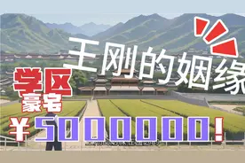 从前有一个叫王刚的年轻人，心滴善良救了金凤凰，金凤凰报达王刚视频封面