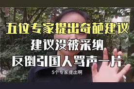五位专家提出奇葩建议，没被采纳，反倒引国人骂声一片。视频封面