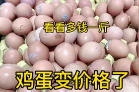 西安鸡蛋变价太吓人了，2月22日大家看超市卖多钱一斤？大吃一惊视频封面