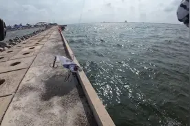 探钓山东潍坊欢乐海海钓平台路亚、据说对象鱼种丰富鲈鱼燕鱼等、视频封面