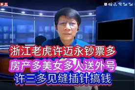 浙江老虎许迈永钞票多房产多美女多 人送外号许三多见缝插针搞钱视频封面