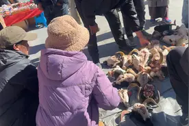 在西藏一年了今天才知道前藏和后藏！后天要过年了街上人也多了