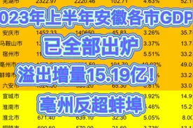 2023年上半年安徽各市GDP已全部出炉！亳州反超蚌埠，溢出15.19亿视频封面
