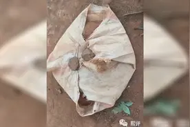 在非洲部落，我深入的研究了一下人类吃土行为良食研究视频封面