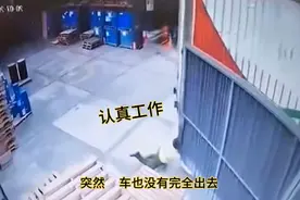 门卫大哥手被门和车夹了，司机教科书方法解救视频封面