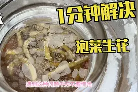 四川人处理泡菜生花，方法居然这么简单有效，赶紧收藏起来！视频封面