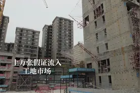 【假证竟也“官网可查”？看检察监督助推溯源治理】视频封面