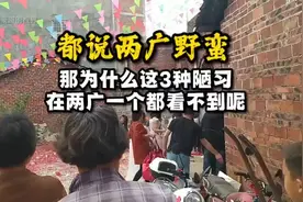 别人都说两广不行，那为什么这3种陋习在广西广东一个都看不到视频封面