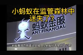 蚂蚁集团被罚款71.23亿元：小蚂蚁在监管森林中迷失视频封面