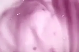 谁都见过的紫水洗白泥🌚