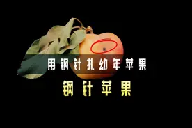 钢针插进苹果中，这样的行为艺术却成就了伟大艺术家