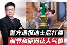 上海迪士尼乐园游客打架事件，警方通报！一些细节和原因让人气愤视频封面