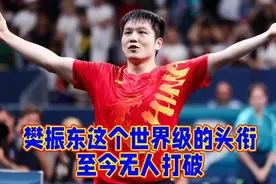 樊振东仍是世界杯最年轻男单冠军视频封面