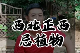 西北正西不得养植物