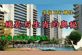 揭秘楼层与生肖五行属性的奥秘，助您择选优质楼层！视频封面