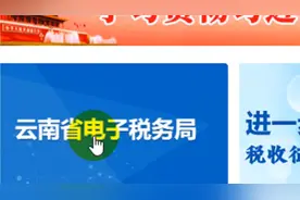 电子发票使用方法