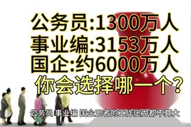公务员1300万人，事业编3153万人，国企6000万人:哪一个最好？视频封面