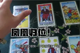 紫微星主线剧情【凤凰归位！】视频封面