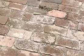 出门捡烟盒。太开心了。视频封面