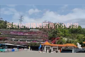 小游一次深圳仙湖植物园，才知道这个是收费的。不过也不贵。视频封面