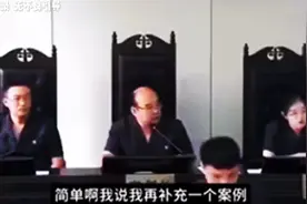 公开审理《鹦鹉案》知名何律师无罪辩护，一审判五年 二审改无罪视频封面