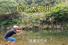挖蚯蚓去门口溪流钓，清澈见底的河水石斑连杆，这样钓下去要爆护