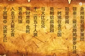 金刚经  每天听一遍好睡的很