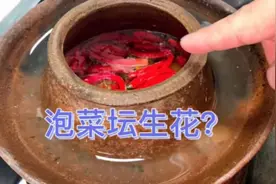泡菜坛生花，放白酒不管用，四川人教你方法，坛水干净一点不生花视频封面