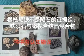 橄榄陨铁不是陨石的证据组：铁陨石与橄榄岩结晶混合物