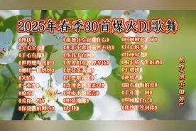 2025年春季30首爆火DJ歌舞列表，带你嗨翻整个春天！🌸🎶