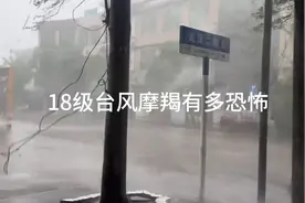18级的台风摩羯有多恐怖，卡车直接吹翻，铁皮像是纸糊的