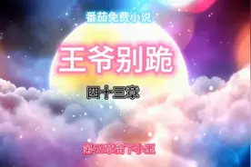 番茄免费小说视频封面