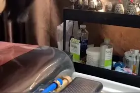 九紫离火最好的开运方式