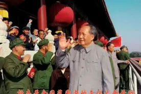 文化运动发生的原因终于说清楚了！视频封面
