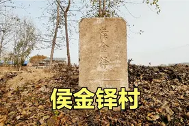 菏泽印象:鲁西新区马岭岗镇侯金铎村视频封面