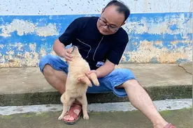 挑选好狗的方法，盯着狗身上的3个位置看，想养狗狗的朋友看看吧视频封面