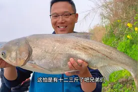 野钓鲢鳙，钓多深呢？通过浮漂的动作，就能判断出真实的鱼层！