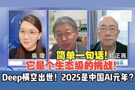 亮哥：太惊艳了！Deepseek前途不可限量！Deepseek开启中国AI元年视频封面