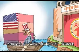 “美国海关征税大作战：一天能征20亿美元！”🇺🇸🚨视频封面
