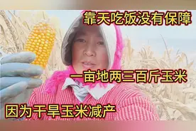 十年九旱的甘肃，靠天吃饭没有保障，一亩地玉米产量二三百斤